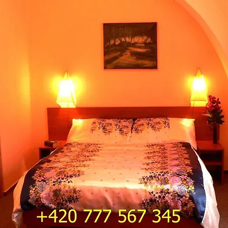 Na Starem Brne Penzion Brno